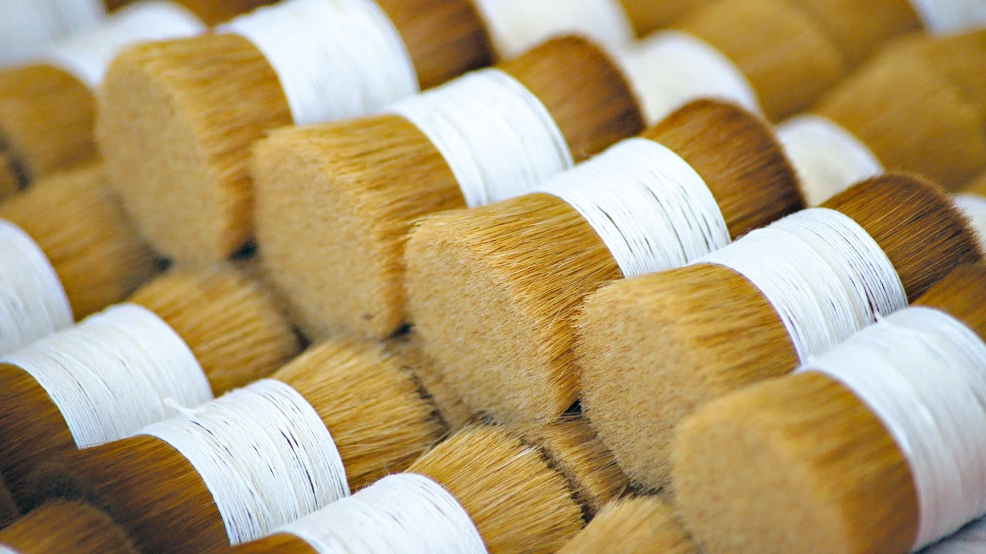 Rows of light brown paintbrush bristles wrapped tightly with white thread.